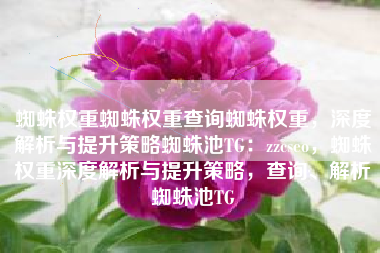 蜘蛛权重蜘蛛权重查询蜘蛛权重，深度解析与提升策略蜘蛛池TG：zzcseo，蜘蛛权重深度解析与提升策略，查询、解析蜘蛛池TG