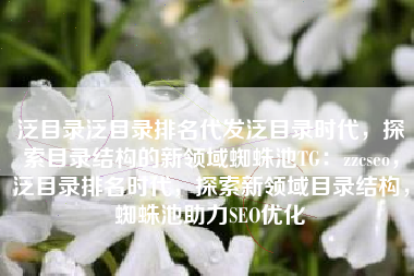 泛目录泛目录排名代发泛目录时代，探索目录结构的新领域蜘蛛池TG：zzcseo，泛目录排名时代，探索新领域目录结构，蜘蛛池助力SEO优化