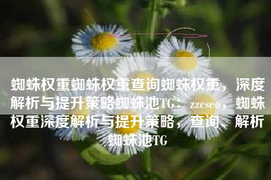 蜘蛛权重蜘蛛权重查询蜘蛛权重，深度解析与提升策略蜘蛛池TG：zzcseo，蜘蛛权重深度解析与提升策略，查询、解析蜘蛛池TG