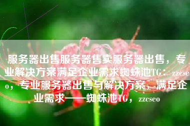 服务器出售服务器售卖服务器出售，专业解决方案满足企业需求蜘蛛池TG：zzcseo，专业服务器出售与解决方案，满足企业需求——蜘蛛池TG，zzcseo