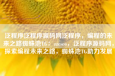 泛程序泛程序源码网泛程序，编程的未来之路蜘蛛池TG：zzcseo，泛程序源码网，探索编程未来之路，蜘蛛池TG助力发展