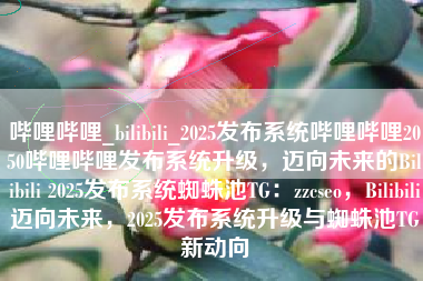 哔哩哔哩_bilibili_2025发布系统哔哩哔哩2050哔哩哔哩发布系统升级，迈向未来的Bilibili 2025发布系统蜘蛛池TG：zzcseo，Bilibili迈向未来，2025发布系统升级与蜘蛛池TG新动向