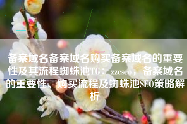 备案域名备案域名购买备案域名的重要性及其流程蜘蛛池TG：zzcseo，备案域名的重要性、购买流程及蜘蛛池SEO策略解析