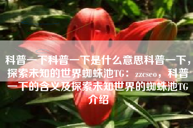 科普一下科普一下是什么意思科普一下，探索未知的世界蜘蛛池TG：zzcseo，科普一下的含义及探索未知世界的蜘蛛池TG介绍