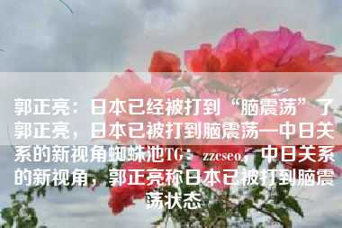 郭正亮：日本已经被打到“脑震荡”了郭正亮，日本已被打到脑震荡—中日关系的新视角蜘蛛池TG：zzcseo，中日关系的新视角，郭正亮称日本已被打到脑震荡状态