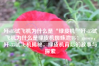 歼-35试飞机为什么是“绿皮机”歼-35试飞机为什么是绿皮机蜘蛛池TG：zzcseo，歼-35试飞机揭秘，绿皮机背后的故事与探索
