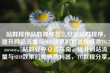 站群程序站群程序怎么安装站群程序，提升网站流量与SEO效果的利器蜘蛛池TG：zzcseo，站群程序安装指南，提升网站流量与SEO效果的蜘蛛池利器，TG教程分享。