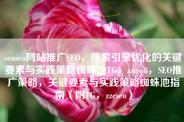 seoseo网站推广SEO，搜索引擎优化的关键要素与实践策略蜘蛛池TG：zzcseo，SEO推广策略，关键要素与实践策略蜘蛛池指南（附TG，zzcseo）