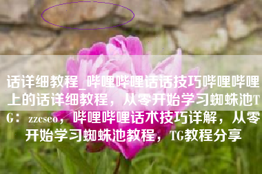 话详细教程_哔哩哔哩话话技巧哔哩哔哩上的话详细教程，从零开始学习蜘蛛池TG：zzcseo，哔哩哔哩话术技巧详解，从零开始学习蜘蛛池教程，TG教程分享