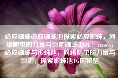 必应蜘蛛必应蜘蛛池探索必应蜘蛛，网络爬虫的力量与影响蜘蛛池TG：zzcseo，必应蜘蛛与蜘蛛池，网络爬虫的力量与影响，探索蜘蛛池TG的秘密