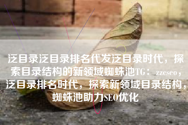 泛目录泛目录排名代发泛目录时代，探索目录结构的新领域蜘蛛池TG：zzcseo，泛目录排名时代，探索新领域目录结构，蜘蛛池助力SEO优化