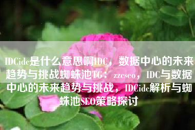 IDCidc是什么意思啊IDC，数据中心的未来趋势与挑战蜘蛛池TG：zzcseo，IDC与数据中心的未来趋势与挑战，IDCidc解析与蜘蛛池SEO策略探讨