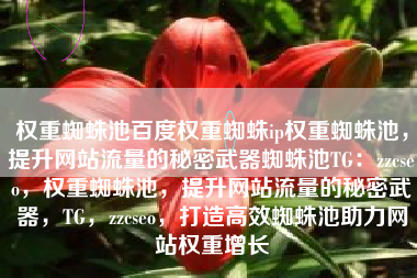 权重蜘蛛池百度权重蜘蛛ip权重蜘蛛池，提升网站流量的秘密武器蜘蛛池TG：zzcseo，权重蜘蛛池，提升网站流量的秘密武器，TG，zzcseo，打造高效蜘蛛池助力网站权重增长