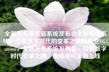 全新发布系统新系统发布会全新发布系统，引领数字时代的变革之路蜘蛛池TG：zzcseo，全新发布系统发布会，引领数字时代变革之路，蜘蛛池TG全新上线