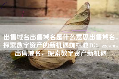 出售域名出售域名是什么意思出售域名，探索数字资产的新机遇蜘蛛池TG：zzcseo，出售域名，探索数字资产新机遇