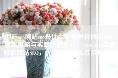 网站seo网站seo是什么全面解析网站SEO，优化策略与实践蜘蛛池TG：zzcseo，全面解析网站SEO，优化策略、实践及蜘蛛池技术指南