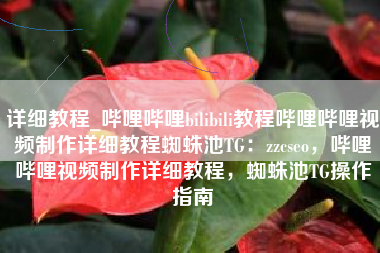详细教程_哔哩哔哩bilibili教程哔哩哔哩视频制作详细教程蜘蛛池TG：zzcseo，哔哩哔哩视频制作详细教程，蜘蛛池TG操作指南