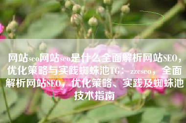 网站seo网站seo是什么全面解析网站SEO，优化策略与实践蜘蛛池TG：zzcseo，全面解析网站SEO，优化策略、实践及蜘蛛池技术指南