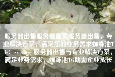服务器出售服务器售卖服务器出售，专业解决方案，满足您的业务需求蜘蛛池TG：zzcseo，服务器出售与专业解决方案，满足业务需求，蜘蛛池TG助力企业成长