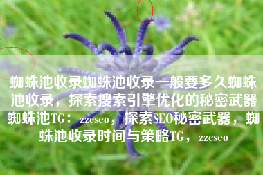 蜘蛛池收录蜘蛛池收录一般要多久蜘蛛池收录，探索搜索引擎优化的秘密武器蜘蛛池TG：zzcseo，探索SEO秘密武器，蜘蛛池收录时间与策略TG，zzcseo