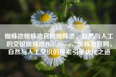 蜘蛛池蜘蛛池官网蜘蛛池，自然与人工的交织蜘蛛池TG：zzcseo，蜘蛛池官网，自然与人工交织的搜索引擎优化之道