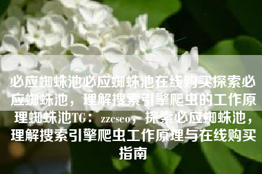 必应蜘蛛池必应蜘蛛池在线购买探索必应蜘蛛池，理解搜索引擎爬虫的工作原理蜘蛛池TG：zzcseo，探索必应蜘蛛池，理解搜索引擎爬虫工作原理与在线购买指南
