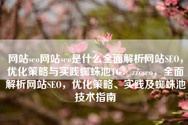 网站seo网站seo是什么全面解析网站SEO，优化策略与实践蜘蛛池TG：zzcseo，全面解析网站SEO，优化策略、实践及蜘蛛池技术指南