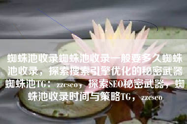 蜘蛛池收录蜘蛛池收录一般要多久蜘蛛池收录，探索搜索引擎优化的秘密武器蜘蛛池TG：zzcseo，探索SEO秘密武器，蜘蛛池收录时间与策略TG，zzcseo
