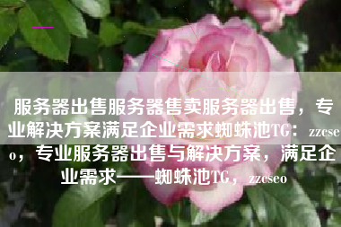服务器出售服务器售卖服务器出售，专业解决方案满足企业需求蜘蛛池TG：zzcseo，专业服务器出售与解决方案，满足企业需求——蜘蛛池TG，zzcseo