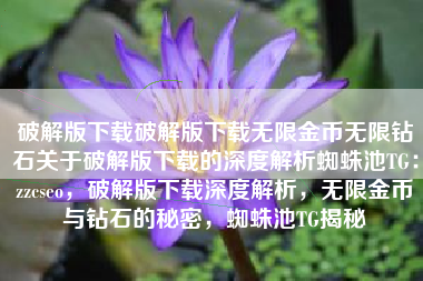 破解版下载破解版下载无限金币无限钻石关于破解版下载的深度解析蜘蛛池TG：zzcseo，破解版下载深度解析，无限金币与钻石的秘密，蜘蛛池TG揭秘