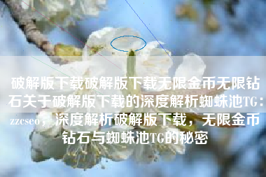 破解版下载破解版下载无限金币无限钻石关于破解版下载的深度解析蜘蛛池TG：zzcseo，深度解析破解版下载，无限金币钻石与蜘蛛池TG的秘密