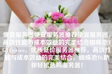 便宜服务器便宜服务器推荐便宜服务器，高效性能与成本效益的完美结合蜘蛛池TG：zzcseo，优质低价服务器推荐，高效性能与成本效益的完美结合，蜘蛛池TG助你轻松选购服务器！