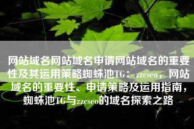 网站域名网站域名申请网站域名的重要性及其运用策略蜘蛛池TG：zzcseo，网站域名的重要性、申请策略及运用指南，蜘蛛池TG与zzcseo的域名探索之路