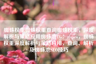 蜘蛛权重蜘蛛权重查询蜘蛛权重，深度解析与策略应用蜘蛛池TG：zzcseo，蜘蛛权重深度解析与策略应用，查询、解析及蜘蛛池SEO技巧