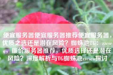 便宜服务器便宜服务器推荐便宜服务器，优质之选还是潜在风险？蜘蛛池TG：zzcseo，廉价服务器推荐，优质选择还是潜在风险？深度解析与TG蜘蛛池zzcseo探讨
