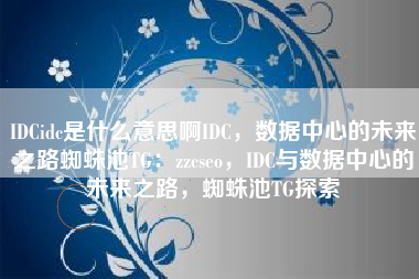 IDCidc是什么意思啊IDC，数据中心的未来之路蜘蛛池TG：zzcseo，IDC与数据中心的未来之路，蜘蛛池TG探索