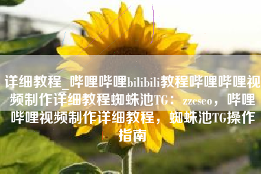 详细教程_哔哩哔哩bilibili教程哔哩哔哩视频制作详细教程蜘蛛池TG：zzcseo，哔哩哔哩视频制作详细教程，蜘蛛池TG操作指南