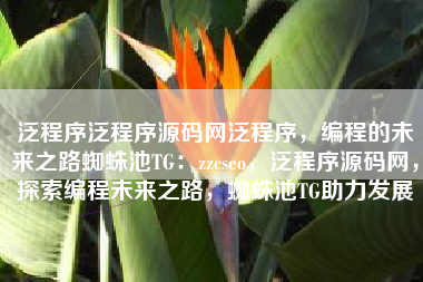 泛程序泛程序源码网泛程序，编程的未来之路蜘蛛池TG：zzcseo，泛程序源码网，探索编程未来之路，蜘蛛池TG助力发展
