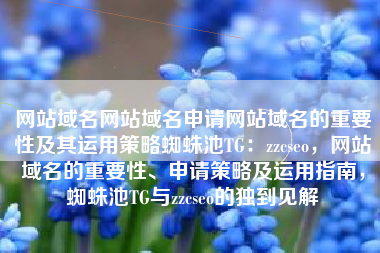 网站域名网站域名申请网站域名的重要性及其运用策略蜘蛛池TG：zzcseo，网站域名的重要性、申请策略及运用指南，蜘蛛池TG与zzcseo的独到见解