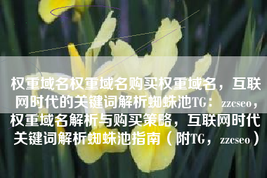 权重域名权重域名购买权重域名，互联网时代的关键词解析蜘蛛池TG：zzcseo，权重域名解析与购买策略，互联网时代关键词解析蜘蛛池指南（附TG，zzcseo）