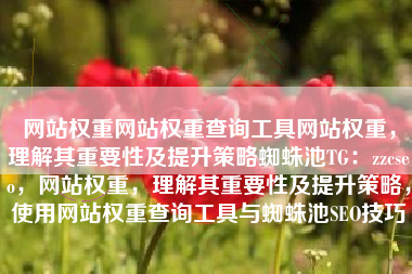 网站权重网站权重查询工具网站权重，理解其重要性及提升策略蜘蛛池TG：zzcseo，网站权重，理解其重要性及提升策略，使用网站权重查询工具与蜘蛛池SEO技巧