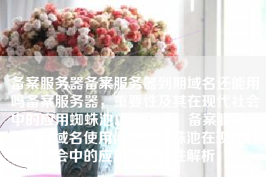 备案服务器备案服务器到期域名还能用吗备案服务器，重要性及其在现代社会中的应用蜘蛛池TG：zzcseo，备案服务器到期后域名使用问题及蜘蛛池在现代社会中的应用与重要性解析