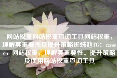 网站权重网站权重查询工具网站权重，理解其重要性及提升策略蜘蛛池TG：zzcseo，网站权重，理解其重要性、提升策略及使用网站权重查询工具