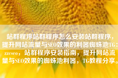 站群程序站群程序怎么安装站群程序，提升网站流量与SEO效果的利器蜘蛛池TG：zzcseo，站群程序安装指南，提升网站流量与SEO效果的蜘蛛池利器，TG教程分享。