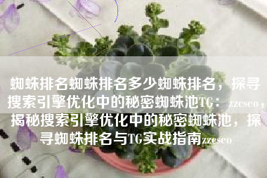 蜘蛛排名蜘蛛排名多少蜘蛛排名，探寻搜索引擎优化中的秘密蜘蛛池TG：zzcseo，揭秘搜索引擎优化中的秘密蜘蛛池，探寻蜘蛛排名与TG实战指南zzcseo