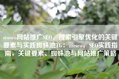 seoseo网站推广SEO，搜索引擎优化的关键要素与实践蜘蛛池TG：zzcseo，SEO实践指南，关键要素、蜘蛛池与网站推广策略