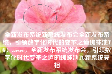 全新发布系统新系统发布会全新发布系统，引领数字化时代的变革之道蜘蛛池TG：zzcseo，全新发布系统发布会，引领数字化时代变革之道的蜘蛛池TG新系统亮相