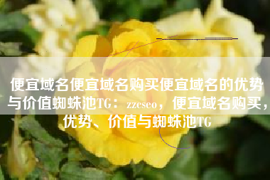 便宜域名便宜域名购买便宜域名的优势与价值蜘蛛池TG：zzcseo，便宜域名购买，优势、价值与蜘蛛池TG