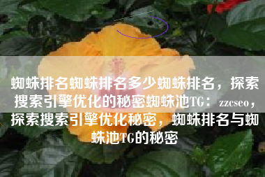 蜘蛛排名蜘蛛排名多少蜘蛛排名，探索搜索引擎优化的秘密蜘蛛池TG：zzcseo，探索搜索引擎优化秘密，蜘蛛排名与蜘蛛池TG的秘密