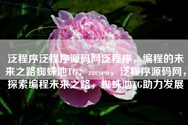 泛程序泛程序源码网泛程序，编程的未来之路蜘蛛池TG：zzcseo，泛程序源码网，探索编程未来之路，蜘蛛池TG助力发展
